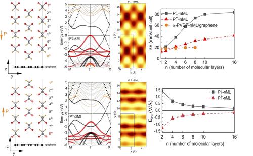 Friction controlled by ferroelectric polymer at β-phase PVDF/graphene van der Waals interfaces