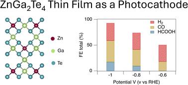 ZnGa2Te4 thin-film absorbers for photoelectrochemical CO2 reduction†