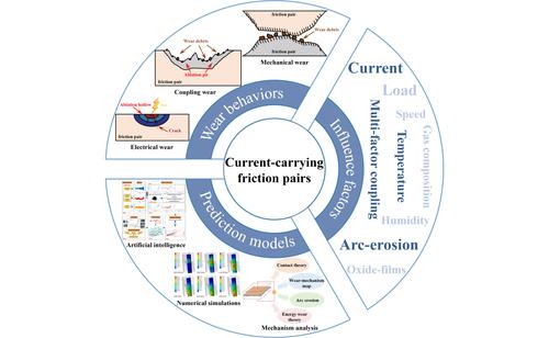 Progress on current-carry friction and wear and prediction models: A review