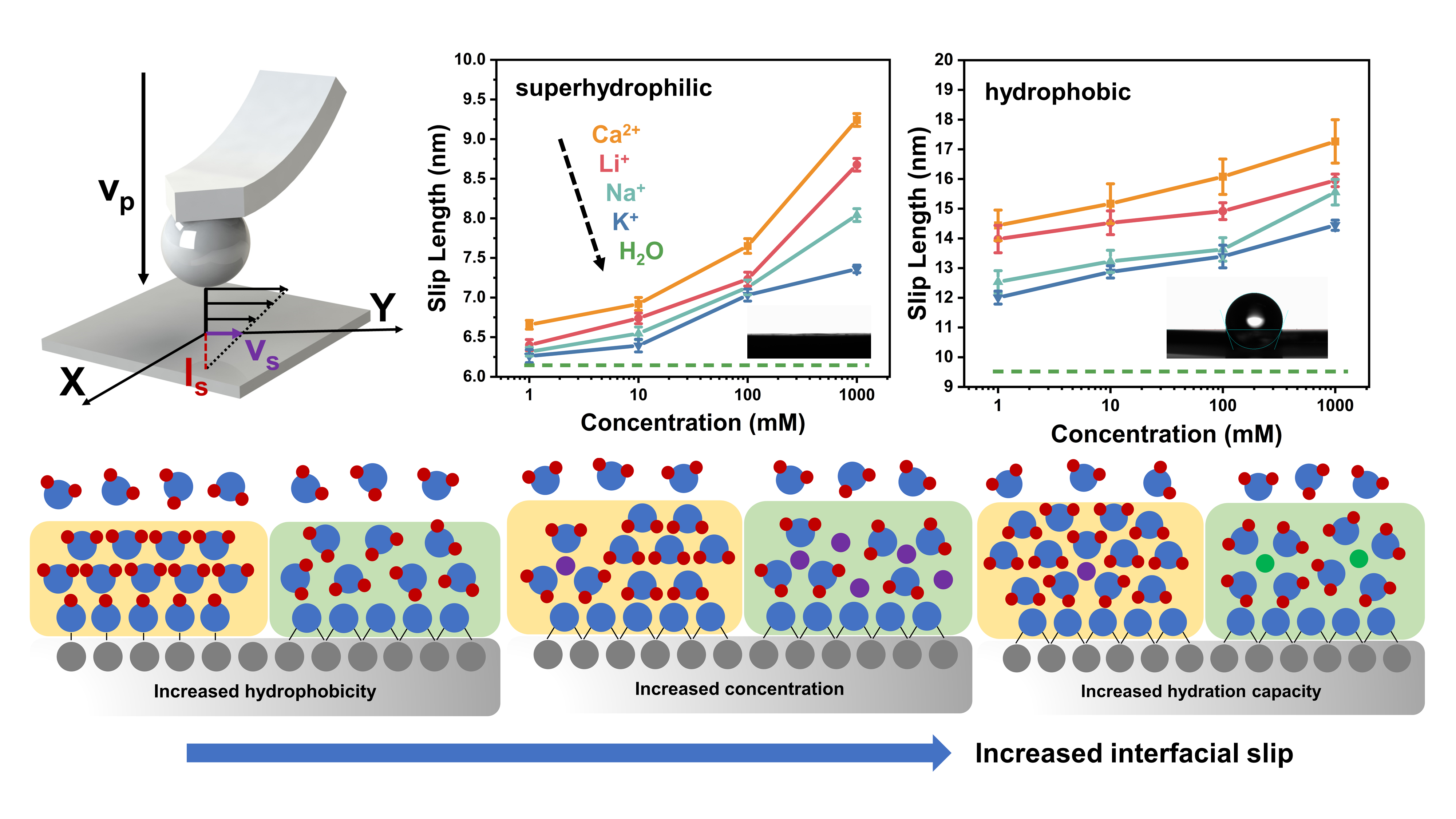 Interfacial slip modulated by water structure at negatively charged surface