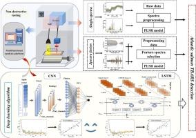 Deep learning algorithm-assisted non-destructive detection of TBARS values of salmon flesh using multi-modal molecular spectra fusion
