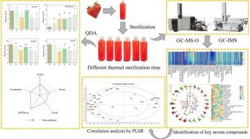 Mechanisms of off-flavor formation in thermally sterilized strawberry juices: Insights from GC-IMS, multivariate statistics, and sensomics