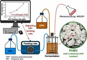 High production of poly(hydroxybutyrate-co-hydroxyvalerate) with controllable 3-hydroxyvalerate content by Paracoccus sp. KKU01 using cassava processing wastes and propionic acid as feedstocks: Optimizing propionic acid feeding and kinetic analysis