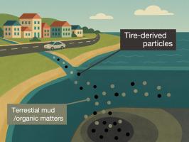 Distribution and accumulation patterns of tire-derived particles in coastal and lake sediments