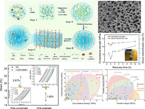 Robust hydrogels with orderly assembly of hydroxyapatite induced by temperature gradient