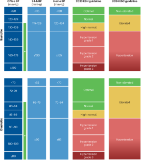 European guidelines for hypertension in 2024: a comparison of key recommendations for clinical practice