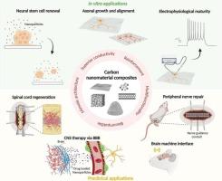 Advances in carbon nanomaterials and their polymeric composites in neural tissue engineering