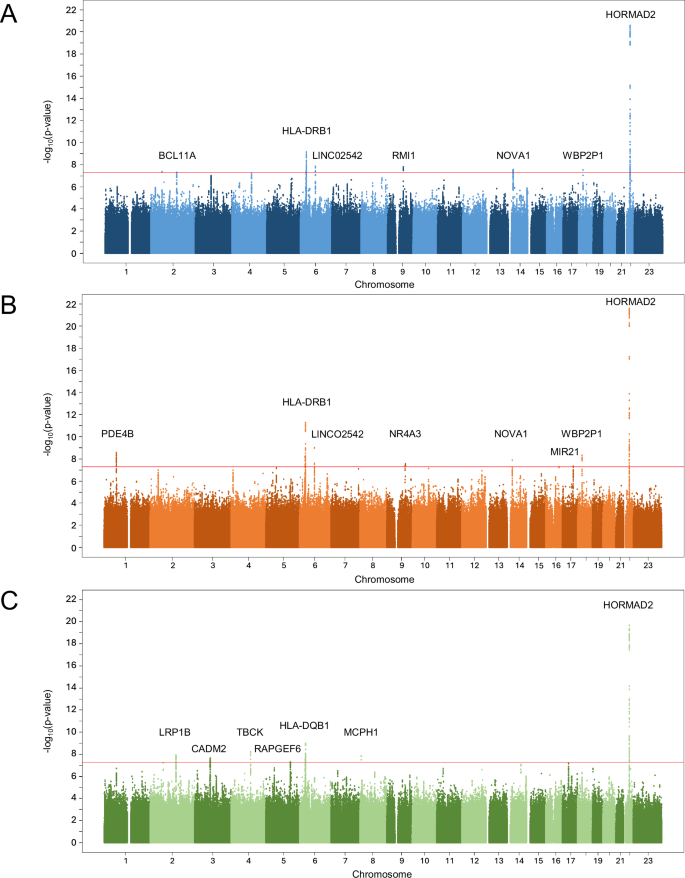 Genome-wide association study of pulpal and apical diseases