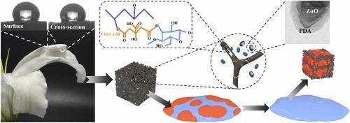 Construction of ZnO@PDA core-shell nanoparticle in antimicrobial nanofibril aerogel for sustainable oil-water separation