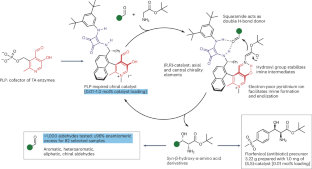 Biomimetic aldol reaction of glycinate