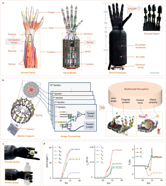 An 18-DOF hand integrating force–position multimodal perception using a monocular camera