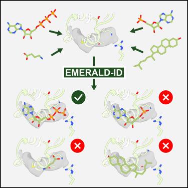 Automated identification of small molecules in cryoelectron microscopy data with density- and energy-guided evaluation