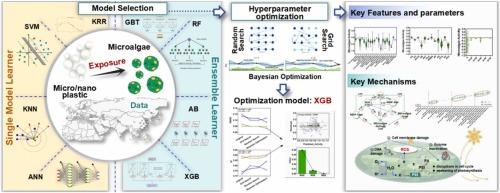 Data-driven machine learning modeling reveals the impact of micro/nanoplastics on microalgae and their key underlying mechanisms