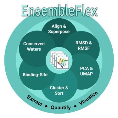 EnsembleFlex: Protein structure ensemble analysis made easy
