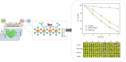 The catalytic degradation of ethylene by δ-MnO2 at room temperature and its application in the postharvest preservation of Prunus salicina ‘Wushan Plum’ fruit