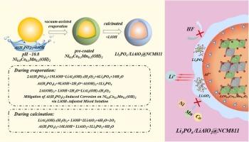 Aqueous-Based Vacuum-Assisted Surface Engineering for Stabilizing Ni-Rich Cathodes by Suppressing Surface Degradation