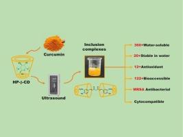 Ultrasound-enhanced bioaccessibility and pharmacological activities of curcumin in inclusion complexes