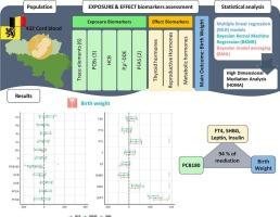 The link between prenatal exposure to a chemical mixture, cord blood hormones, and birth weight: an epidemiologic study