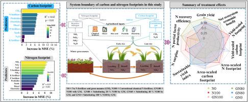 Green manure substitution reduces carbon and nitrogen footprints and improves net ecosystem economic benefits in double rice systems