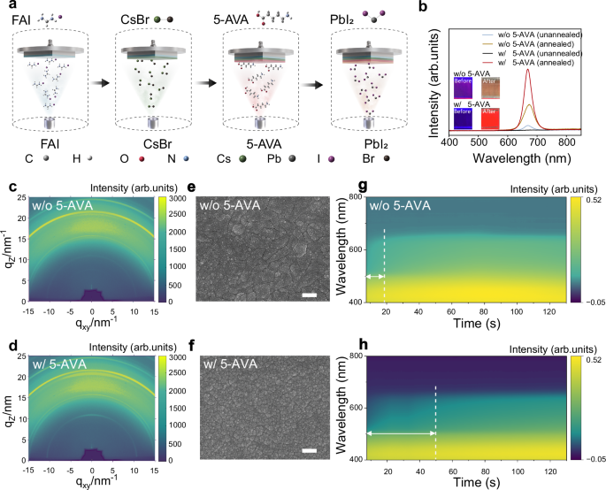 Sequential layer-by-layer deposition for high-performance fully thermal-evaporated red perovskite light-emitting diodes