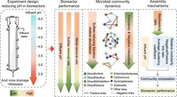 Acidic pH as the deterministic factor shaping microbial community dynamics and interactions in molasses-fed sulfate-reducing bioreactors