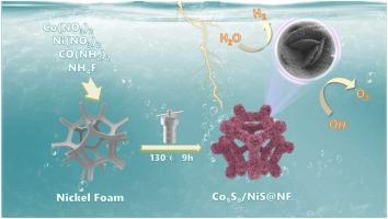Defect-Engineered Co9S8/NiS@NF Nanoarchitectures: Uniting Heterojunctions and Sulfur Vacancies for Superior Overall Water Electrolysis