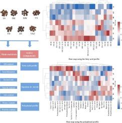 Potential of tea seeds as new functional raw materials: Comprehensive analysis of main nutrient substances and active components