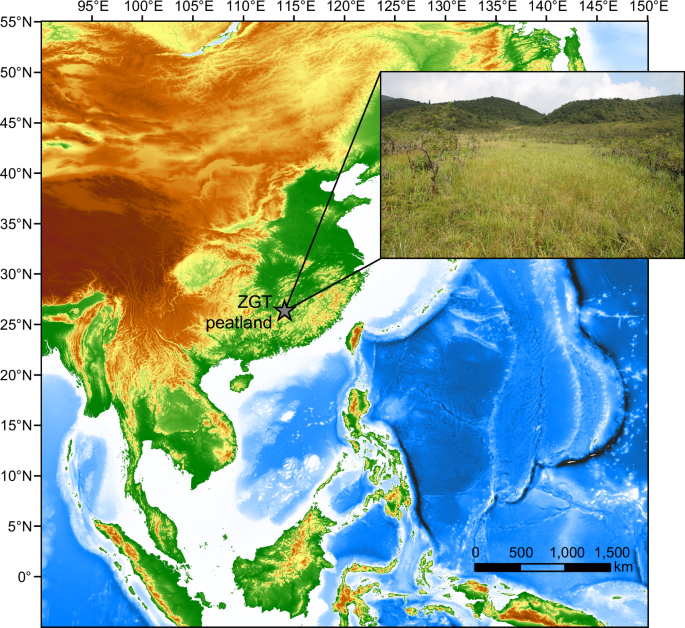 Microbial responses to changing plant community protect peatland carbon stores during Holocene drying