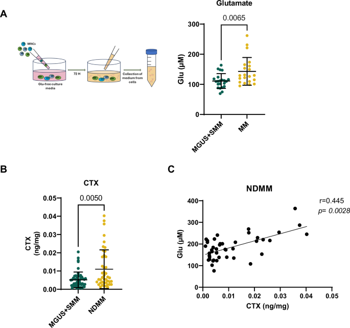 High glutamate levels in the bone marrow of multiple myeloma patients promote osteoclast formation: a novel target for osteolytic bone disease