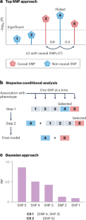 Towards improved fine-mapping of candidate causal variants