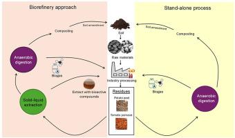 Closing loops of industrial agro-residues based on a biorefinery approach: extraction of bioactive compounds and bioenergy