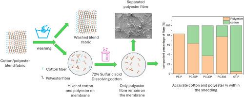 Decoding microplastic shedding from cotton/polyester blends: An analysis through fiber identification