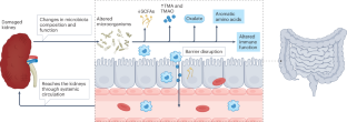 Microbiota and kidney disease: the road ahead