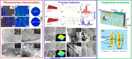 Microstructure tailoring and enhanced fracture toughness in as-extruded Mg-9Gd-4Y-1Zn-0.5Zr alloy via lamellar γ’ phase