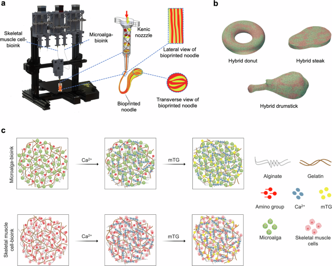 3D bioprinting of plant and animal cell-based hybrid food