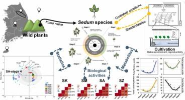 Growth dynamics and metabolite profiling of four Korean Sedum species in a vertical farming system: Implications for antioxidant and tyrosinase inhibitory activities