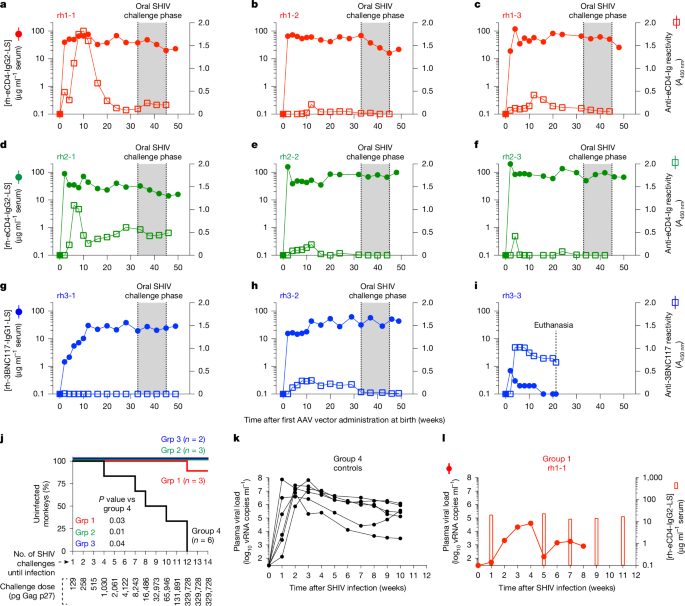 Determinants of successful AAV-vectored delivery of HIV-1 bNAbs in early life