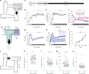 Individual differences in decision-making shape how mesolimbic dopamine regulates choice confidence and change-of-mind