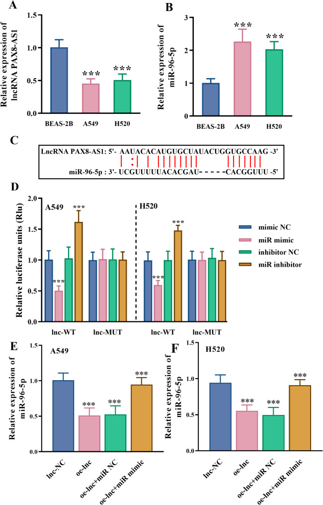 Clinical significance of lncRNA PAX8-AS1 and miR-96-5p in non-small cell lung cancer.