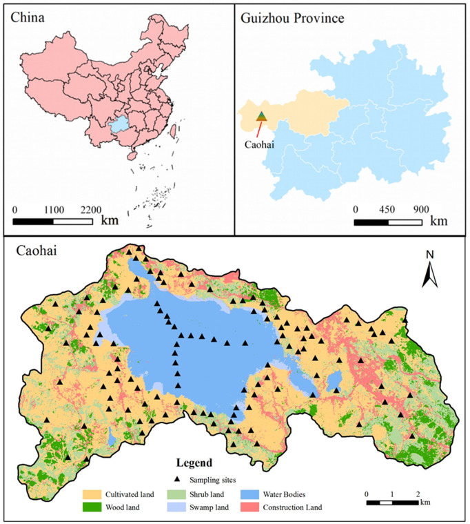 Comparative analysis of soil organic carbon across different land types in plateau wetlands using Kriging interpolation based on spatial heterogeneity.