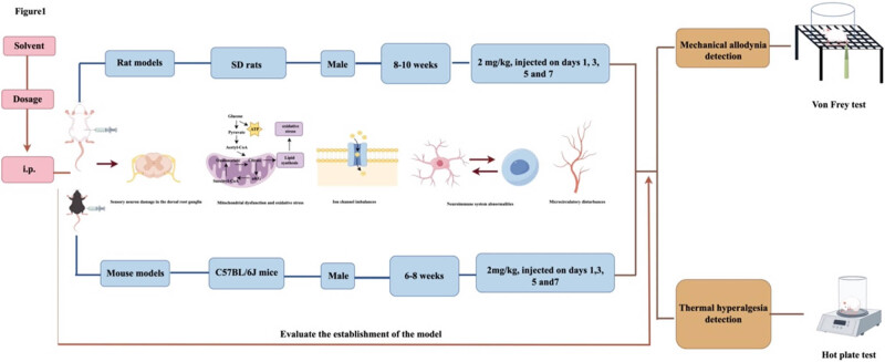 Evaluation and application analysis of animal models of PIPNP based on data mining.