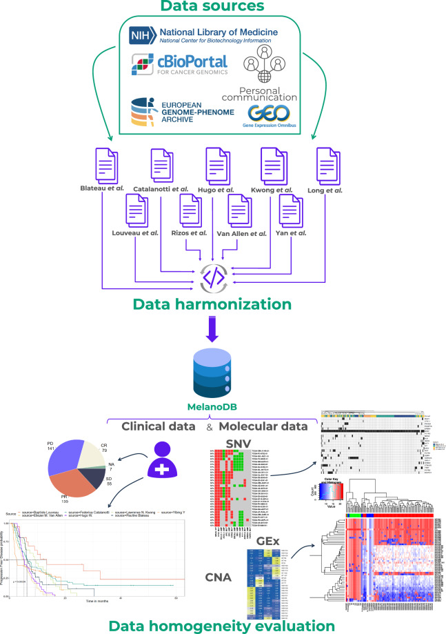 MelanoDB: A dataset of clinical and molecular features of patients with advanced melanoma treated with MAPK inhibitors.