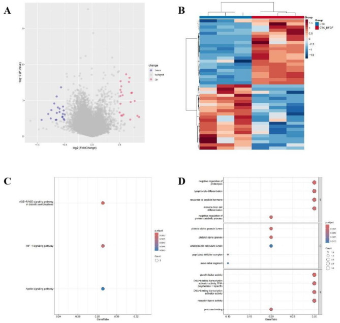 BFGF mitigates CTX-induced ovarian cytotoxicity via SERPINE1/HIF-1 and Nrf-2/HO-1 signaling pathways.