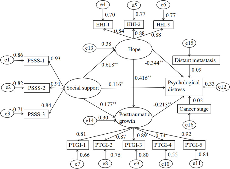 The Chain Mediating Role of Hope and Posttraumatic Growth Between Social Support and Psychological Distress Among Lung Cancer Patients.