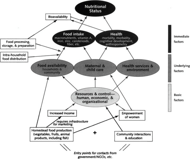 Stakeholders influence to reduce vitamin A deficiency in children aged 15 to 23 months in Iran: an analysis of stakeholders and networking.