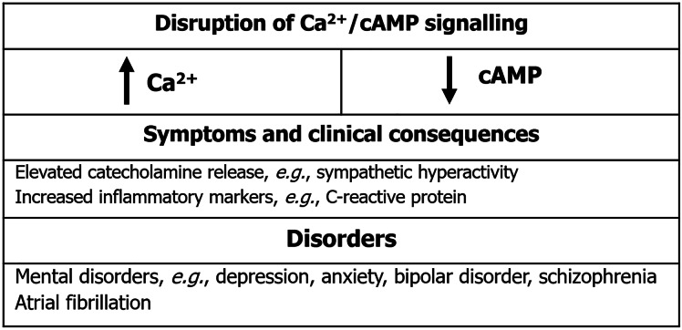 Debating the link between atrial fibrillation and psychiatric diseases through Ca<sup>2+</sup>/cAMP signaling.