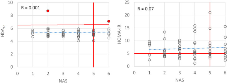Patient-specific effects of metformin on the hepatic metabolism in adolescents with metabolic dysfunction-associated steatotic liver disease (MASLD).