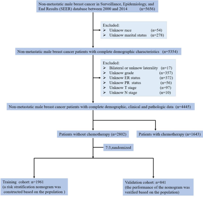 Development, verification, and comparison of a risk stratification model to identify potential population benefiting from chemotherapy in non-metastatic male breast cancer.