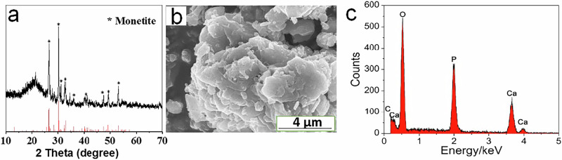 An injectable calcium sulfate-monetite biphasic cement for the treatment of critical-sized calvarial defects