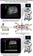 Ultrasonographic Measurement of the Renal Cortical Thickness-to-Abdominal Aortic Ratio in Healthy Rabbits.